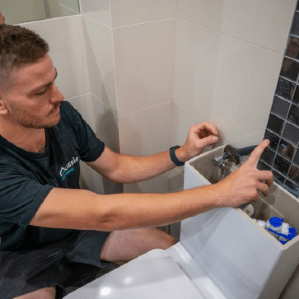 Toilet-Repairs (1)